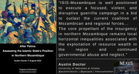 banner doctor report isis-m