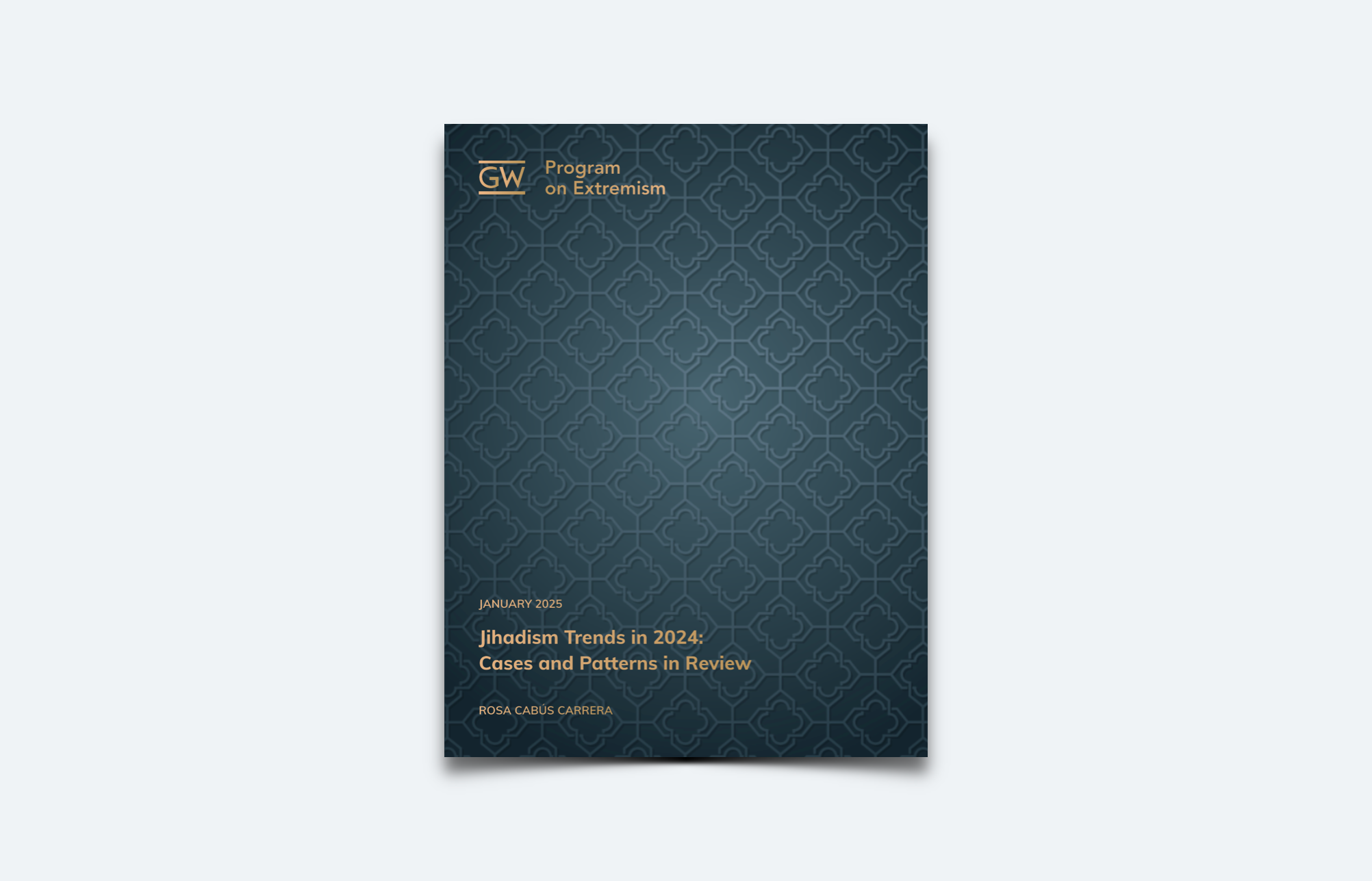 Jihadism Trends in 2024: Cases and Patterns in Review