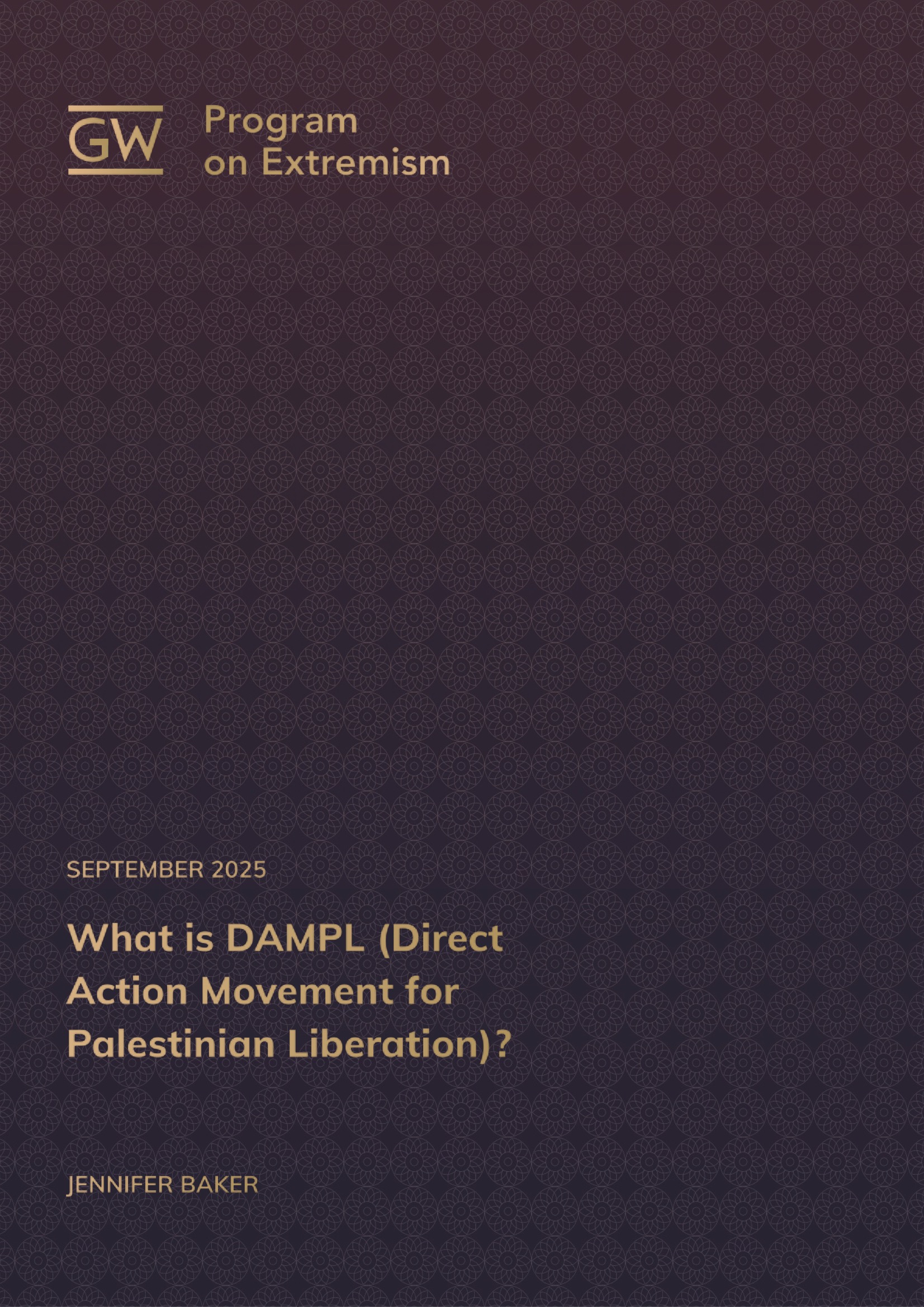 What is DAMPL?