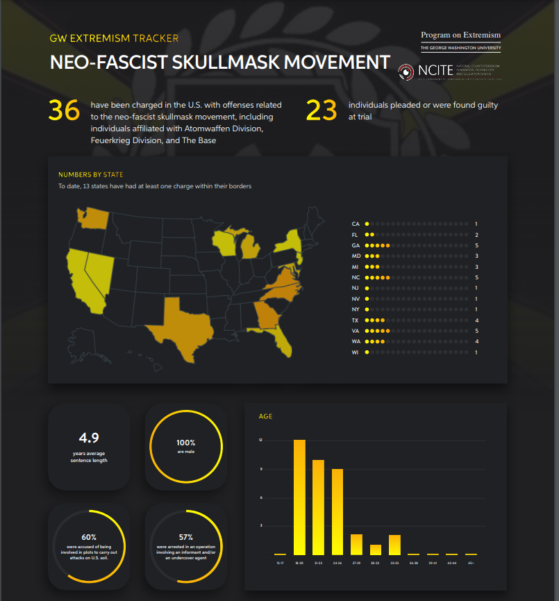 Neo-Fascist Skullmask Movement October 2022 Update