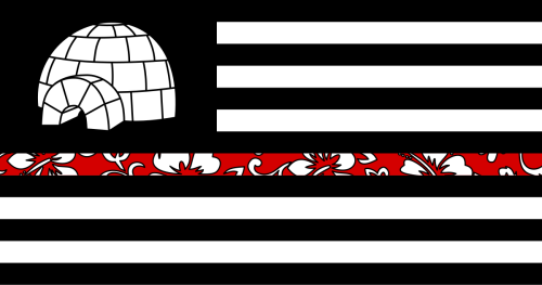 Boogaloo flag