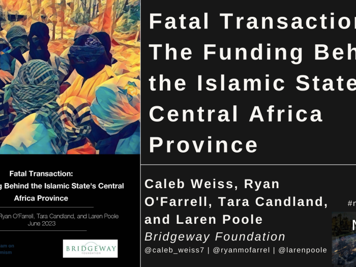 Fatal Transaction Banner
